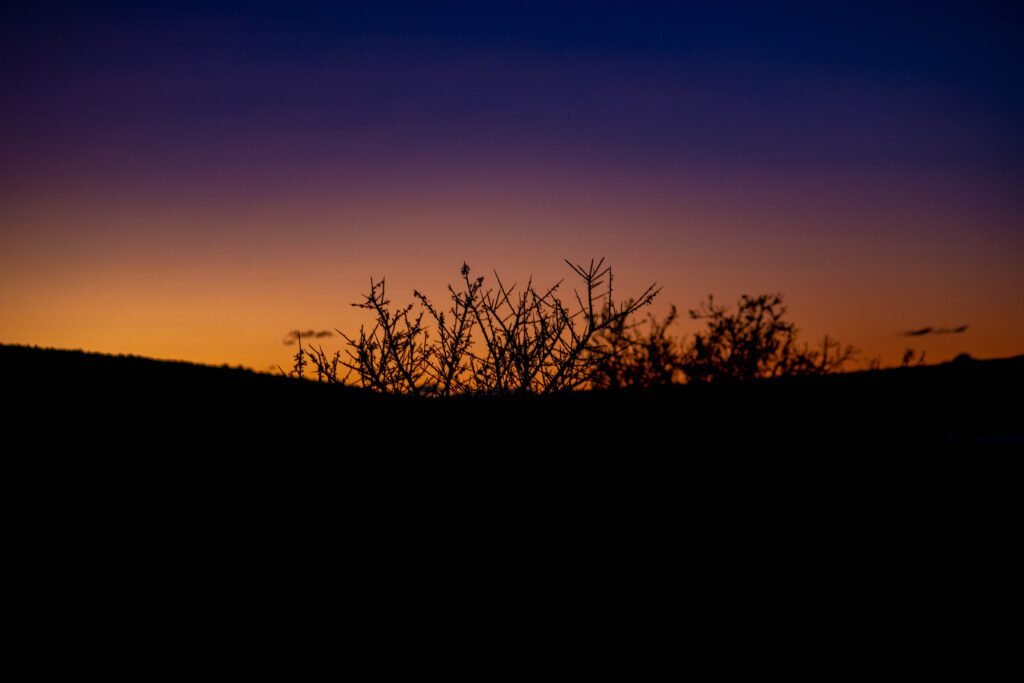 atardecer en la patagonia